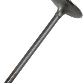 Intake Valve