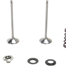 Valve and Spring Kit