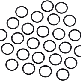 Oil Screen Pump O-Ring