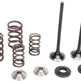 Valve and Spring Kit