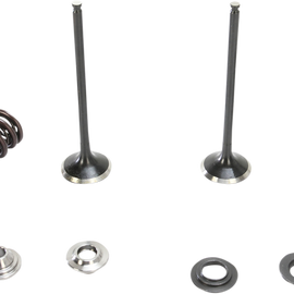 Valve and Spring Kit