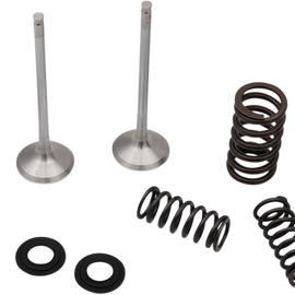 Valve and Spring Kit
