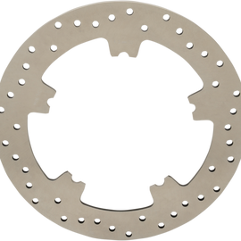 Stainless Steel Front Rotor - FXD/VR 06-