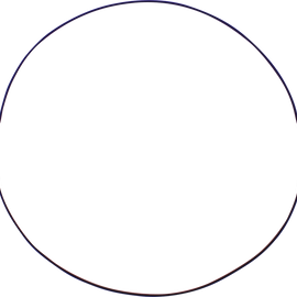 Clutch Outer Gasket - KTM