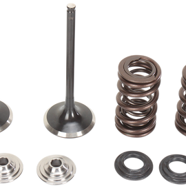 Intake Valve Kit