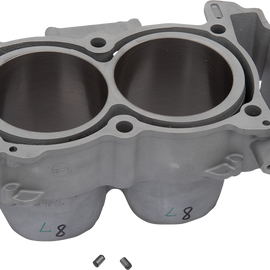 Cylinder - Standard - Polaris