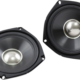 5 1/4" Replacement Speakers