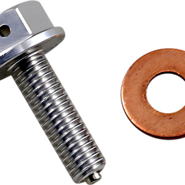 Magnetic Drain Plug