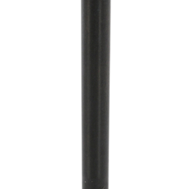 Intake Valve
