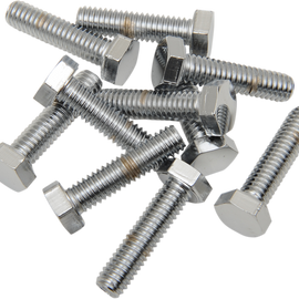 5/16"-18 X 1" Chrome Hex Head