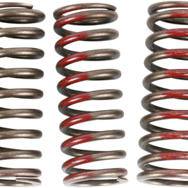 Clutch Springs