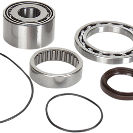 Differential Bearing/Seal Kit - Rear