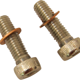 Screws with/Washers Damper Tube