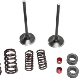 Intake Valve Kit