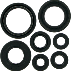 Motor Seals - Big Wheel/PW 80