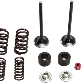 Valve and Spring Kit