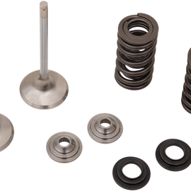Valve and Spring Kit