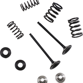 Valve and Spring Kit