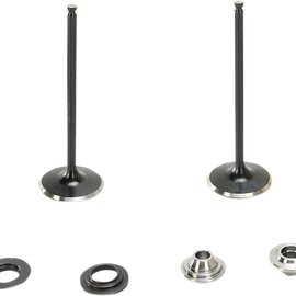 Intake Valve Kit