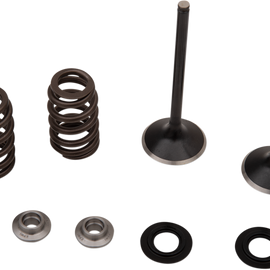 Valve and Spring Kit