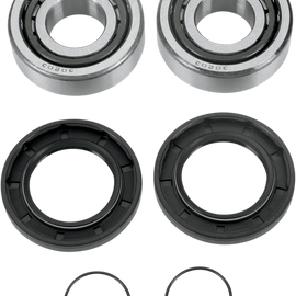 Swingarm Bearing Kit