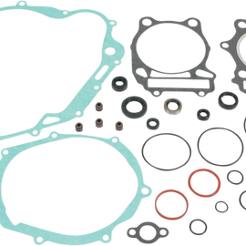Motor Gasket Kit with Seal - DR350