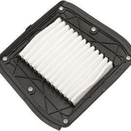 Air Filter - Indian