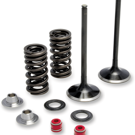 Valve and Spring Kit