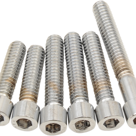 Smooth Socket-Head Camshaft Cover 70-84 Big Twin