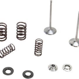 Intake Valve Kit