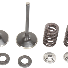 Intake Valve Kit