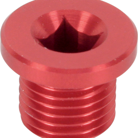 Magnetic Drain Plug